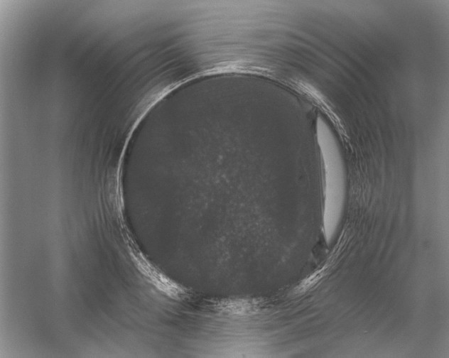 X0000060550892200511171536