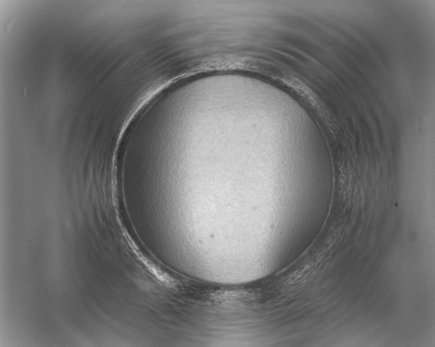 X0000060550894200511171536