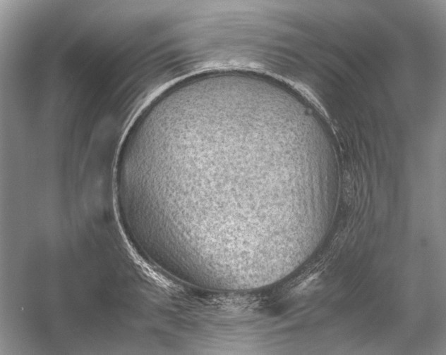 X0000060550895200511171536