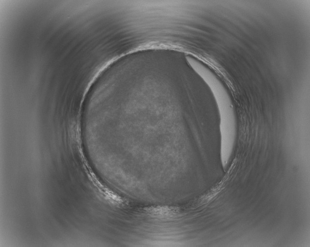 X0000060550896200511171536