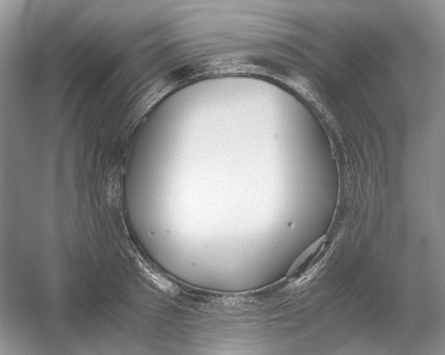 X0000060550897200511171536