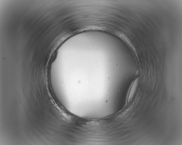 X0000060550898200511171536