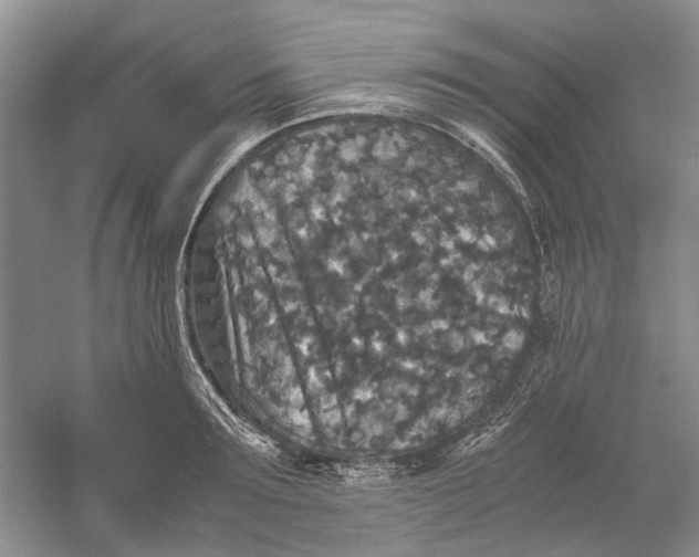 X0000060550899200511171536