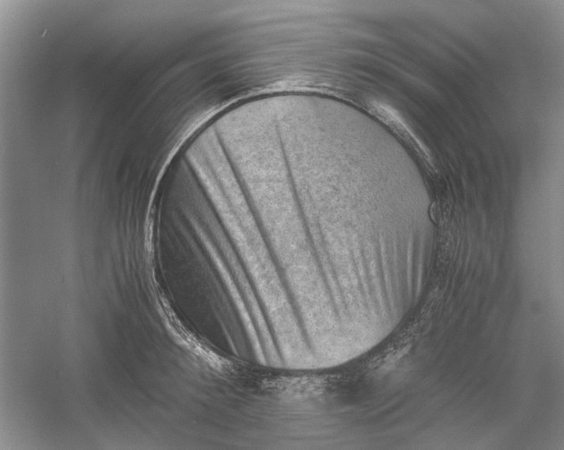 X0000060550900200511171535