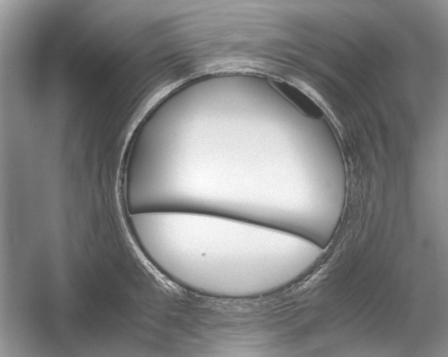 X0000060550901200511171535