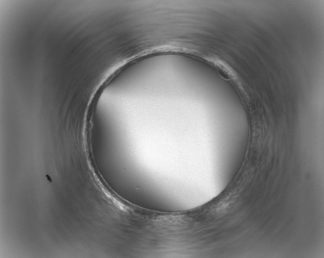 X0000060550902200511171535