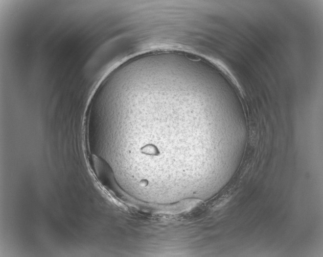 X0000060550903200511171535