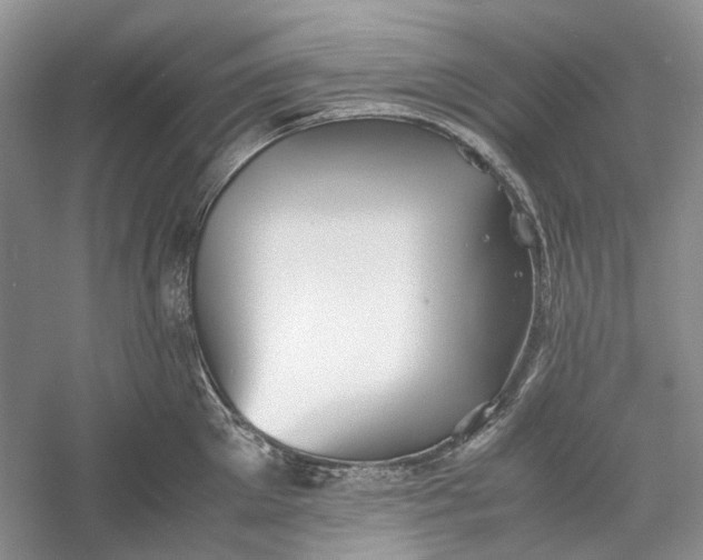 X0000060550905200511171535