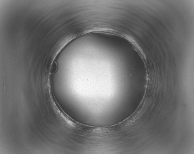 X0000060550906200511171535