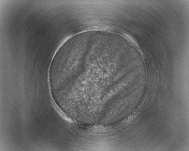 X0000060550907200511171535