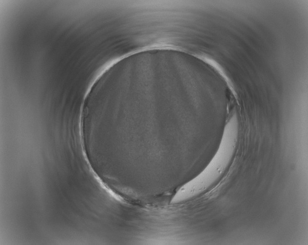 X0000060550910200511171535