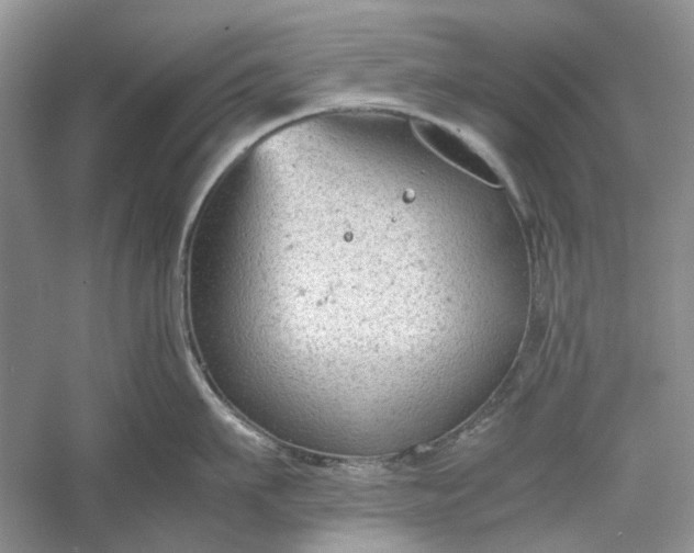 X0000060550911200511171535