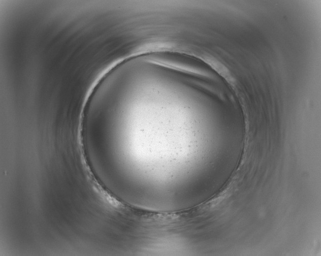 X0000060550912200511171535