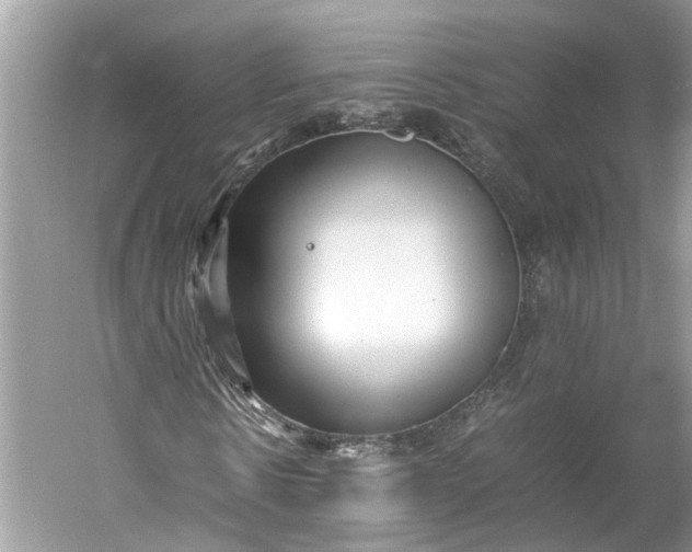 X0000060550914200511171534