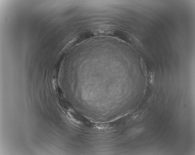 X0000060550915200511171534