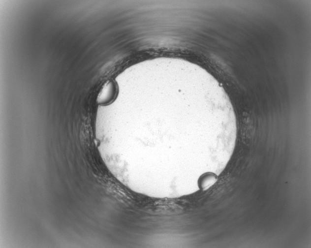 X0000060550918200511171535