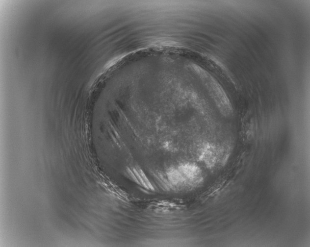 X0000060550919200511171535