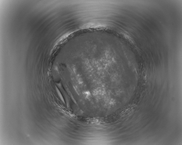 X0000060550920200511171535