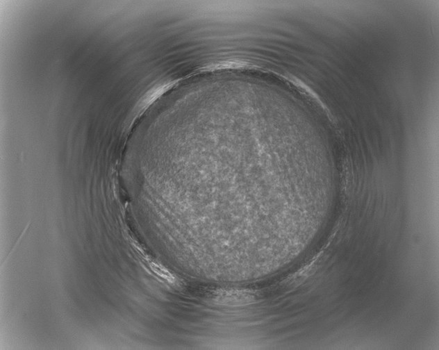 X0000060550921200511171535