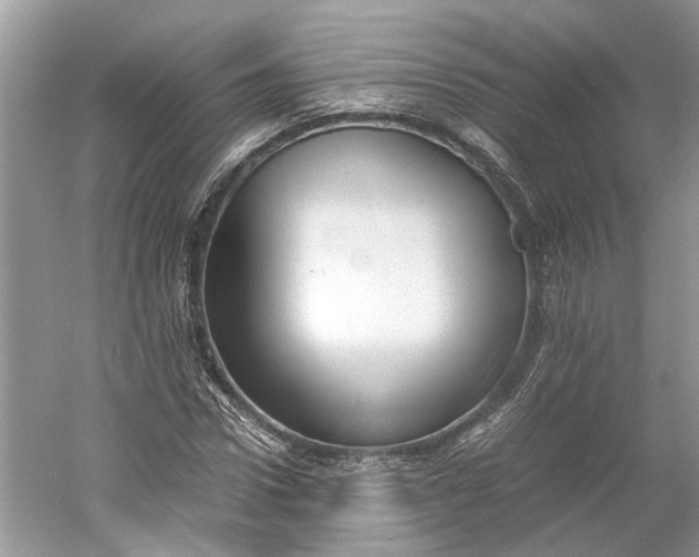 X0000060550922200511171535