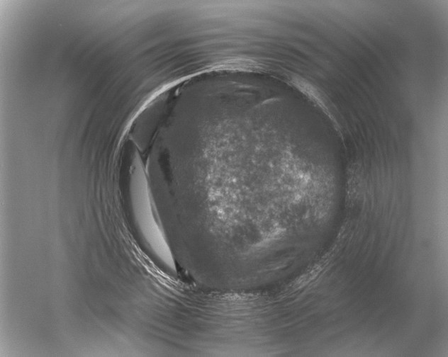 X0000060550923200511171535