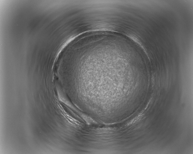 X0000060550925200511171535