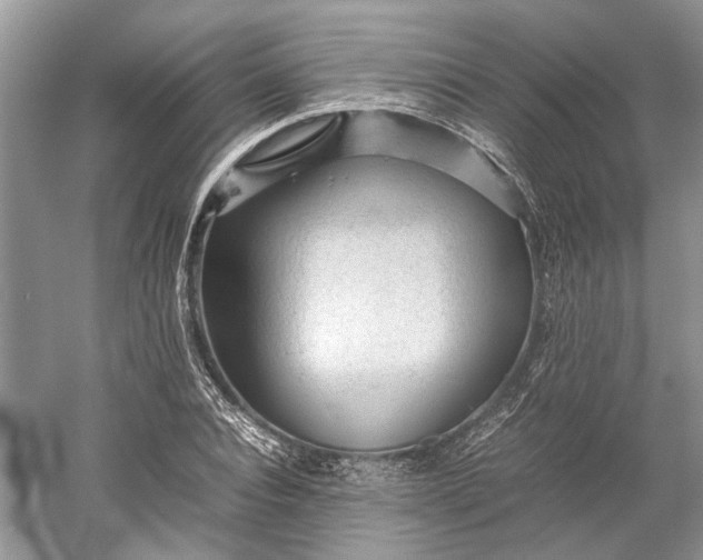 X0000060550928200511171535