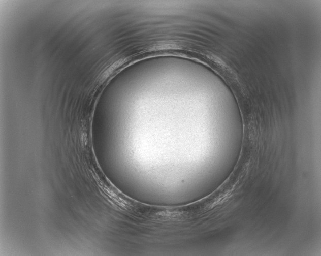 X0000060550929200511171535