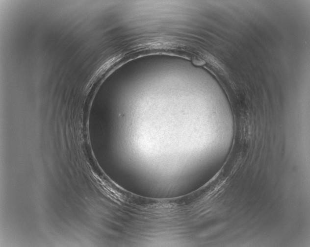 X0000060550930200511171535