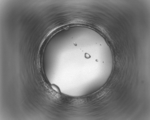 X0000060550931200511171535