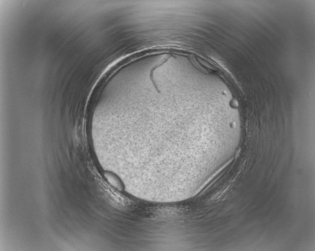 X0000060550932200511171535