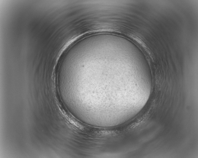 X0000060550933200511171535