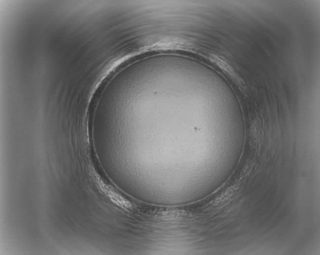 X0000060550934200511171535