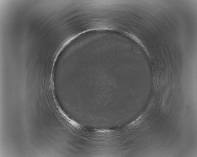 X0000060550935200511171535