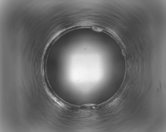 X0000060550939200511171535