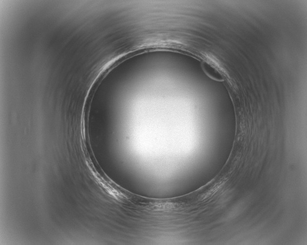 X0000060550940200511171535