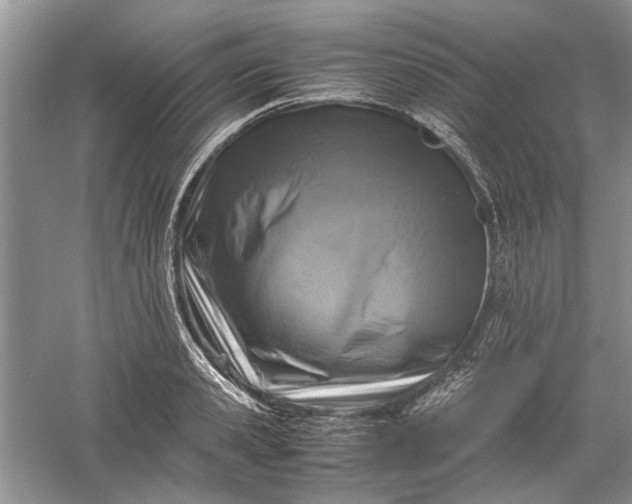 X0000060550941200511171535