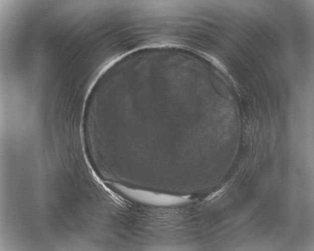 X0000060550943200511171535