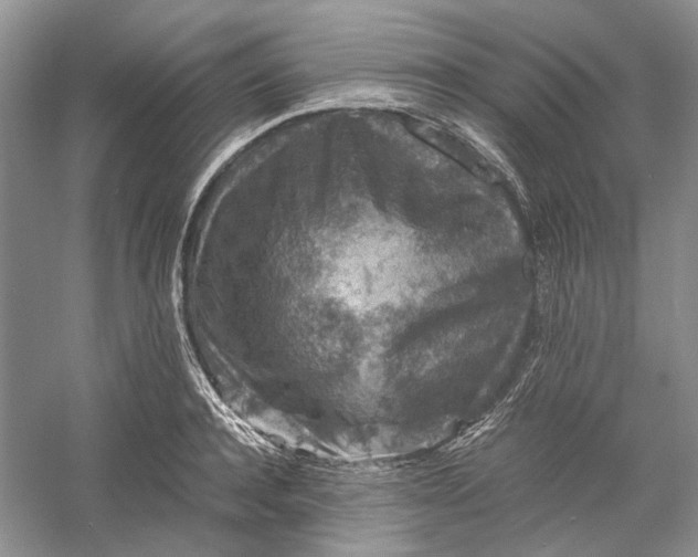 X0000060550944200511171535