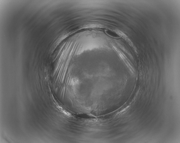 X0000060550945200511171535