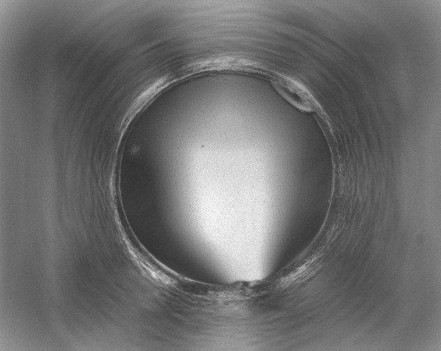 X0000060550946200511171535