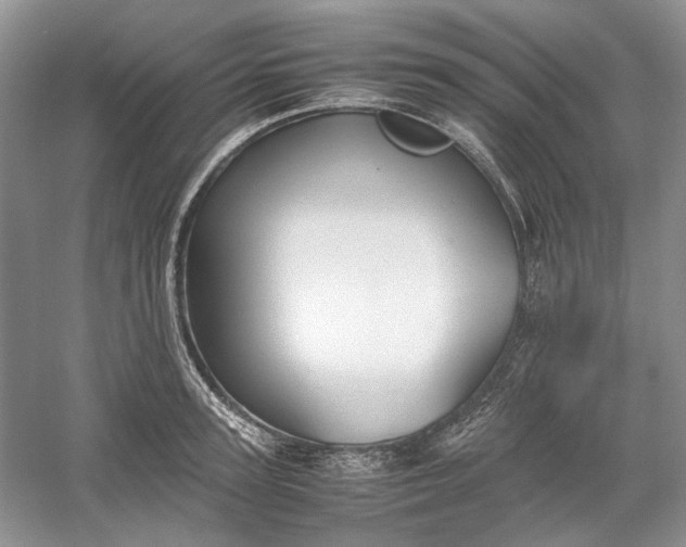 X0000060550947200511171535