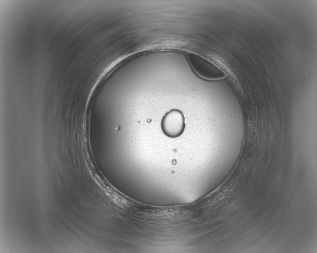 X0000060550948200511171535