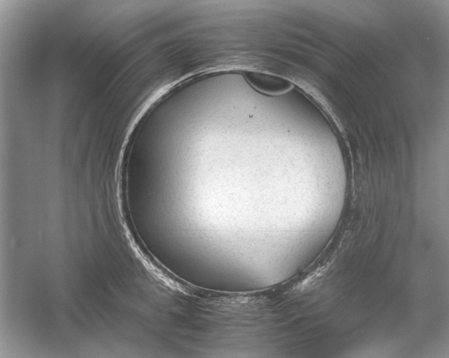 X0000060550949200511171535