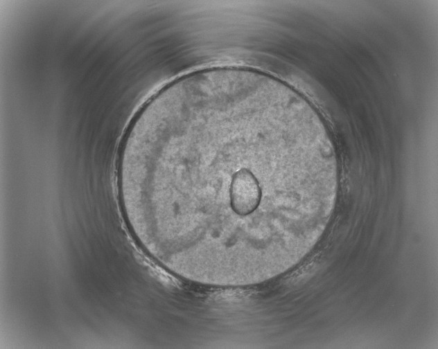 X0000060550950200511171535