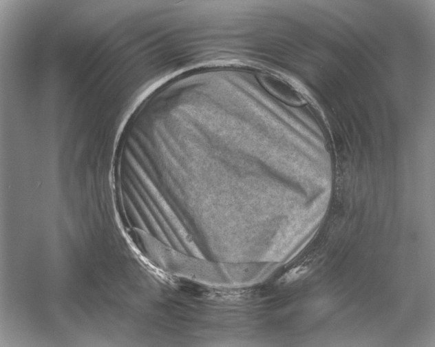 X0000060550951200511171535