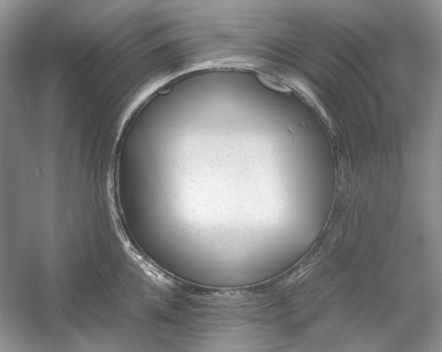 X0000060550952200511171535