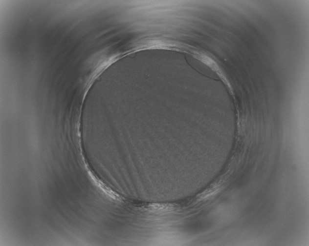 X0000060550954200511171535