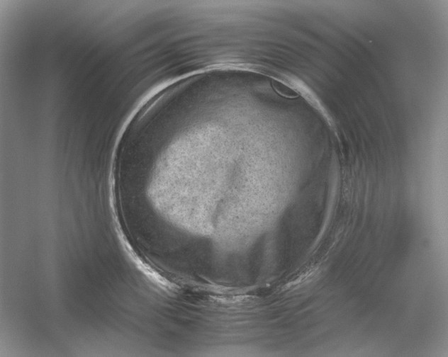 X0000060550955200511171535