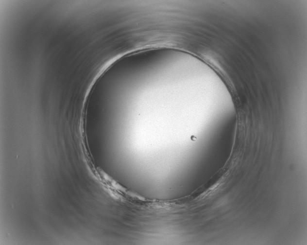 X0000060550956200511171535